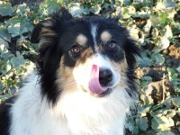 /album/fotogaleria/jiji-jpg/